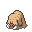 Piloswine.gif